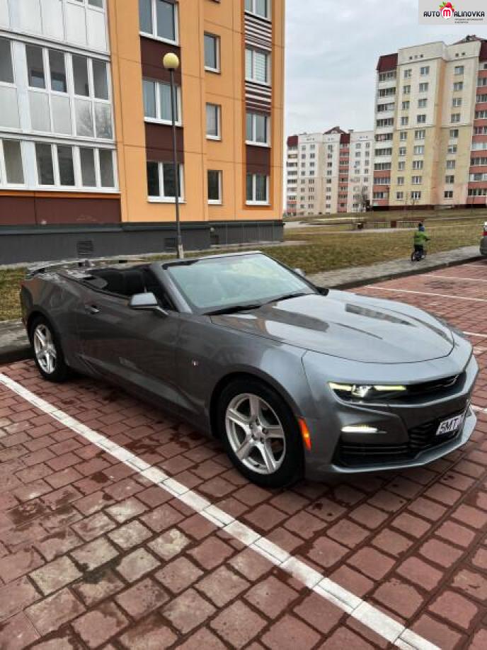 Купить Chevrolet Camaro VI в городе Минск