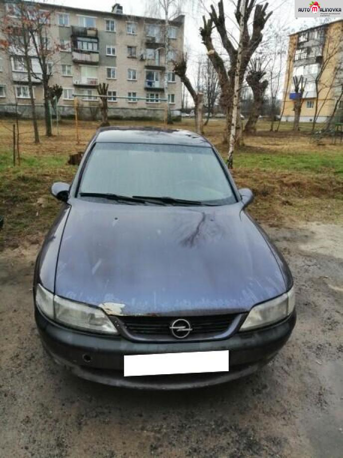 Купить Opel Vectra B в городе Борисов