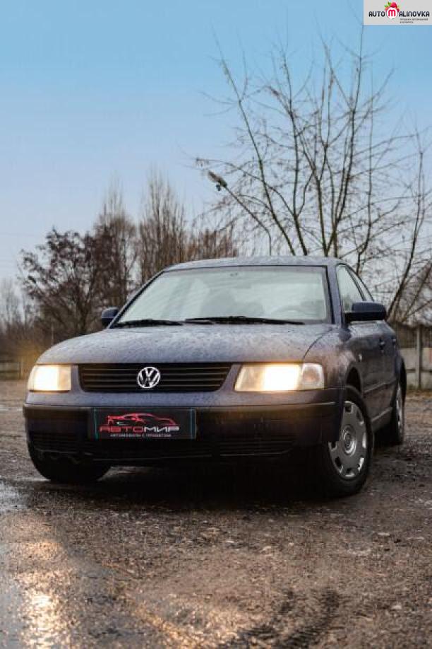 Купить Volkswagen Passat B5 в городе Гомель