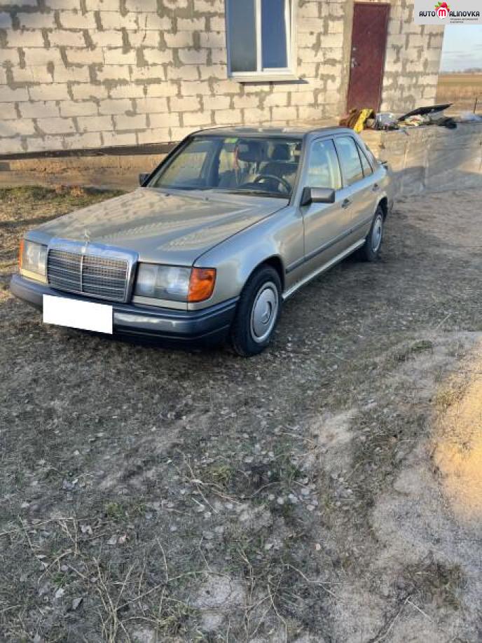 Купить Mercedes-Benz W124 в городе Минск