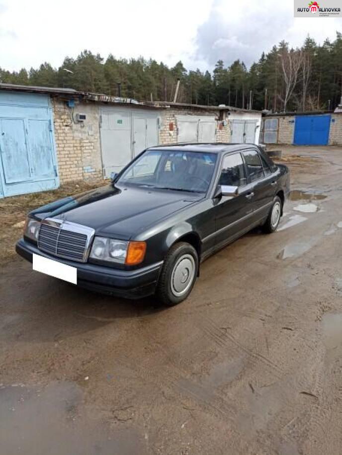 Купить Mercedes-Benz W124 в городе Новополоцк