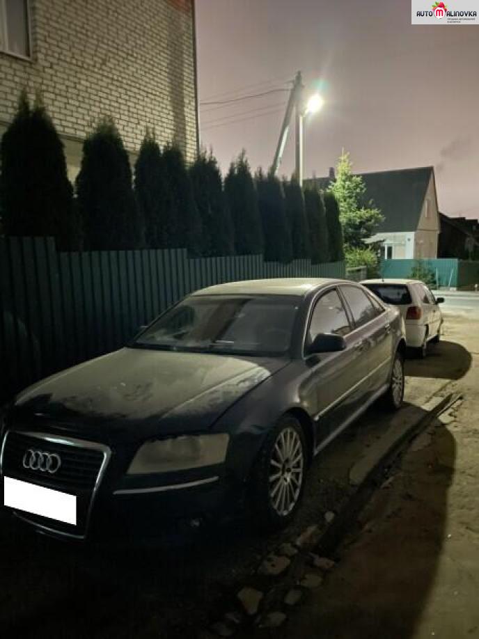Купить Audi A8 II (D3) в городе Минск
