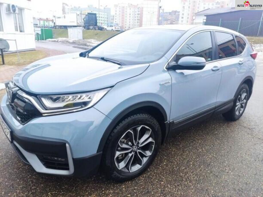 Купить Honda CR-V V в городе Витебск