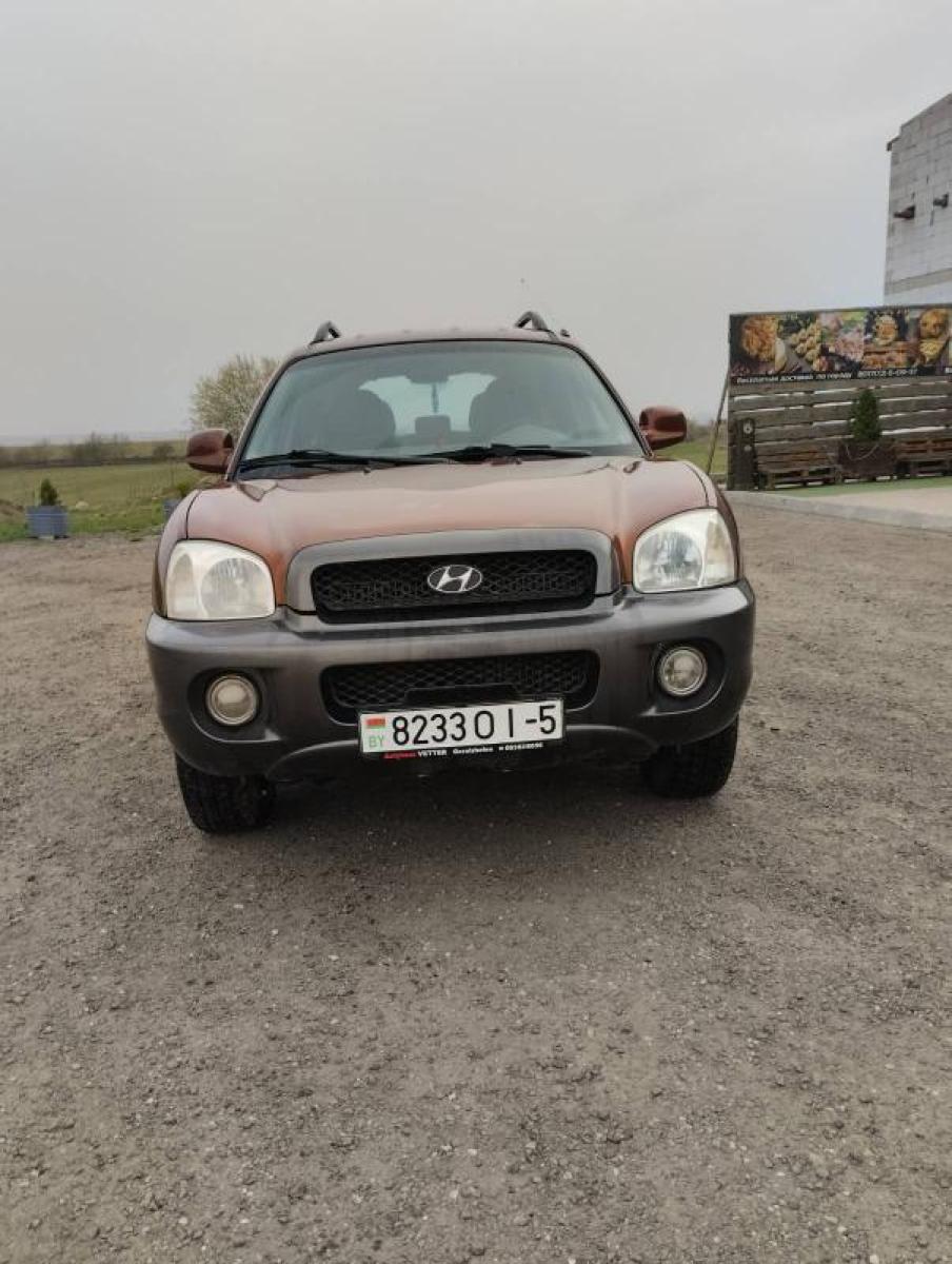 Купить Hyundai Santa FE I в городе Воложин