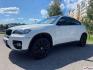 BMW X6 I (E71)